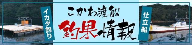 tyoukabanner