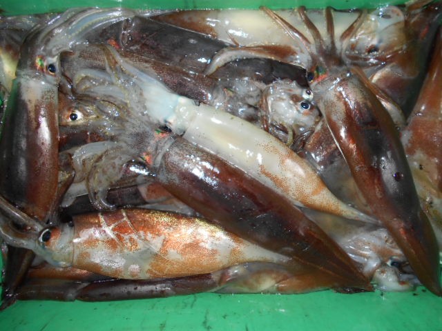DSCN0232