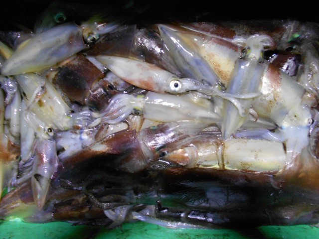 DSCN0236