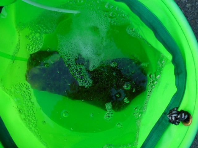 DSCN0275