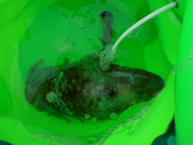 DSCN0311