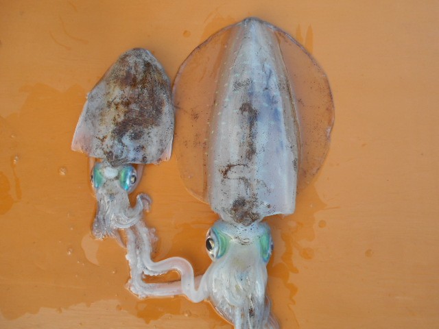 DSCN0315