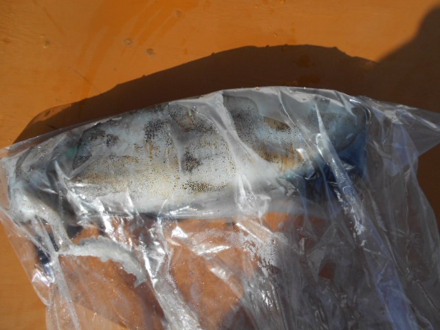 DSCN0325