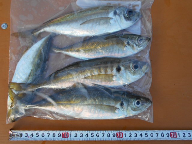 DSCN0340