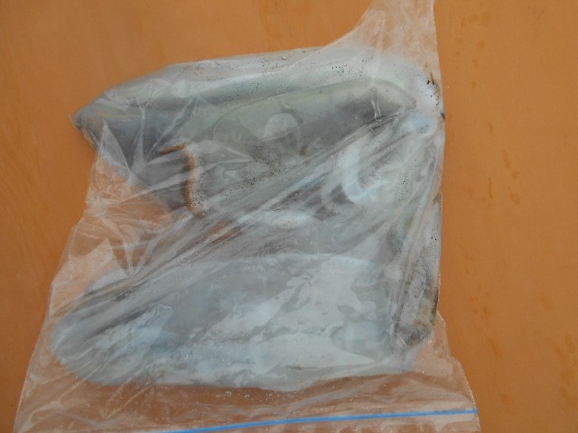 DSCN0350