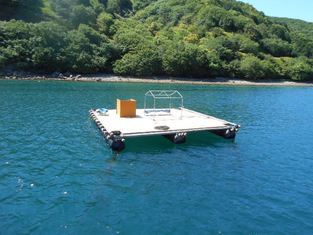 DSCN0351