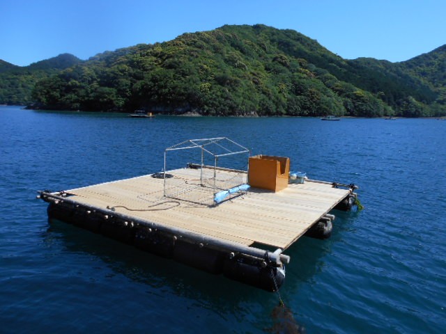 DSCN0354