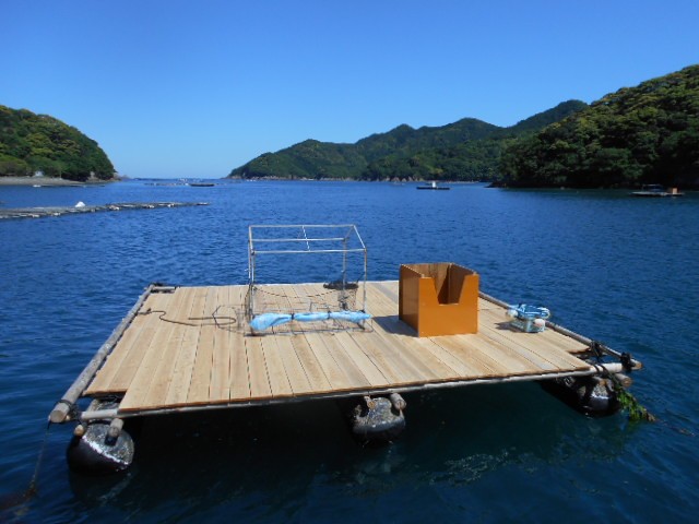 DSCN0355