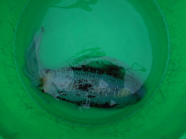 DSCN0373