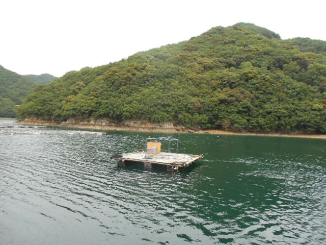 DSCN0403