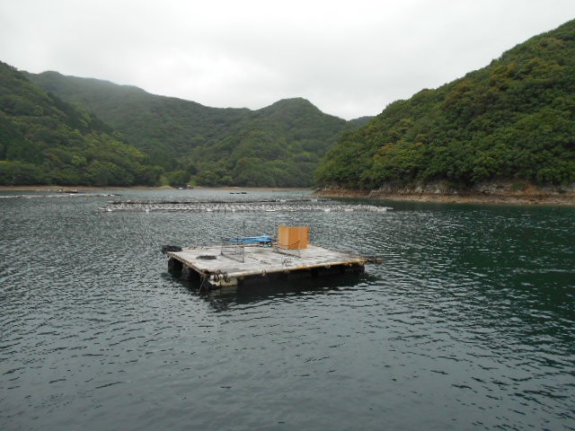DSCN0404