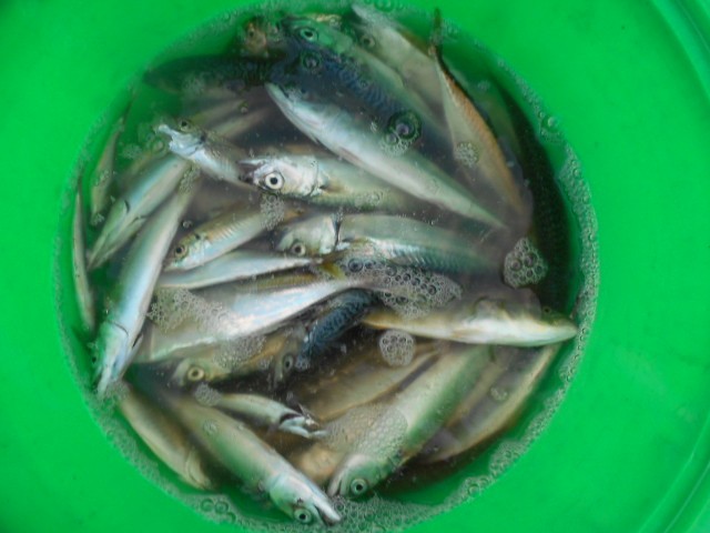 DSCN0442