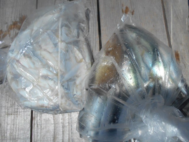 DSCN0448