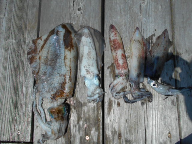 DSCN0451