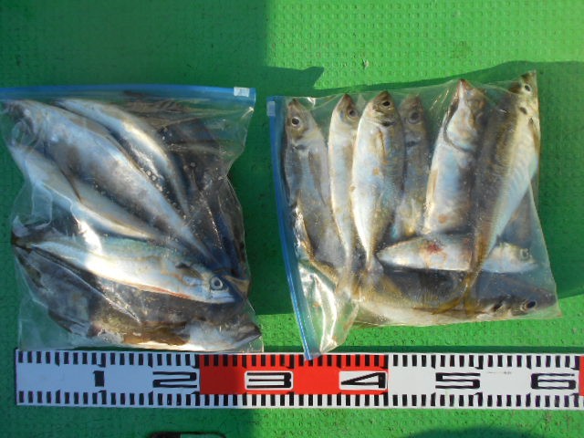 DSCN0454