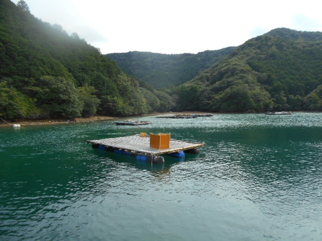 DSCN0456