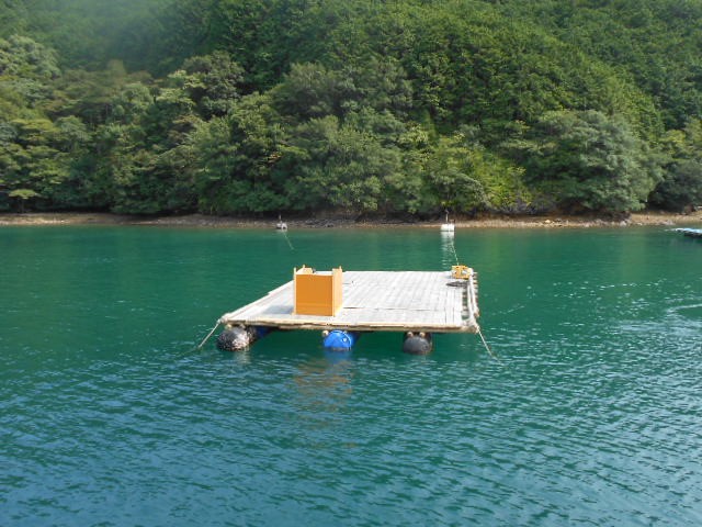 DSCN0458