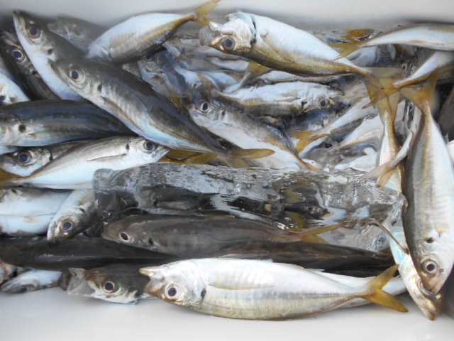 DSCN0472