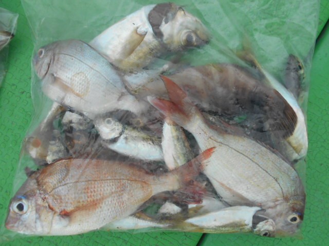 DSCN0477