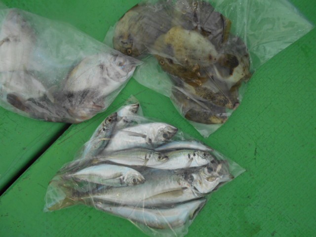 DSCN0478