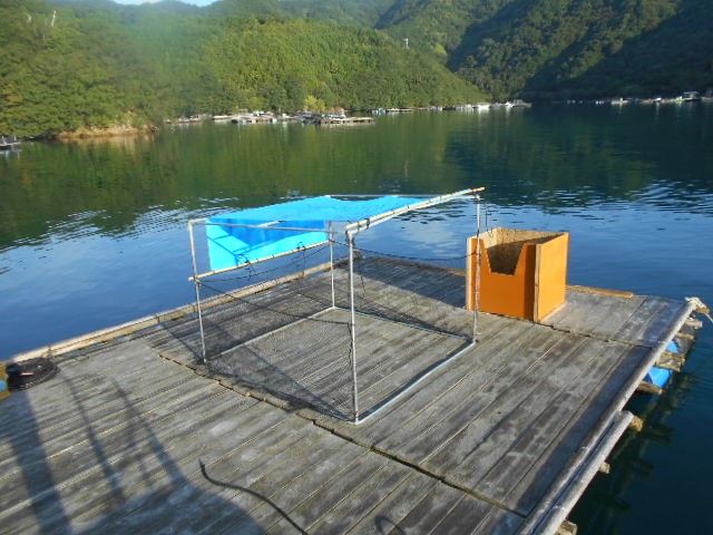 DSCN0496