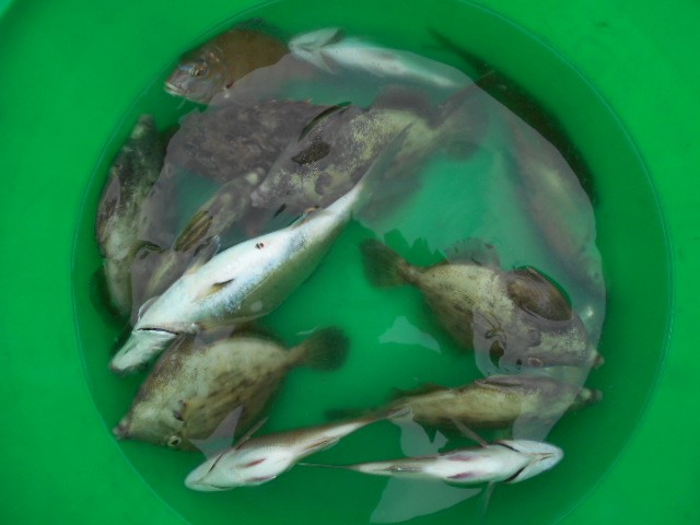dscn0511