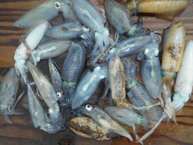 dscn0516