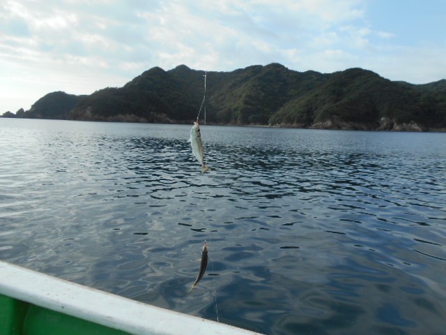 dscn0543