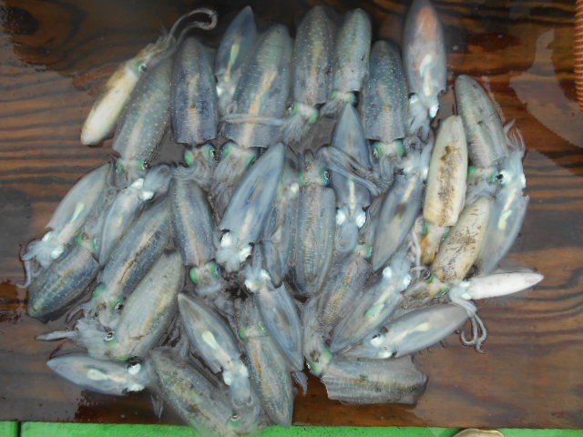 dscn0546