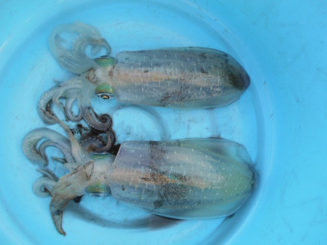 dscn0549