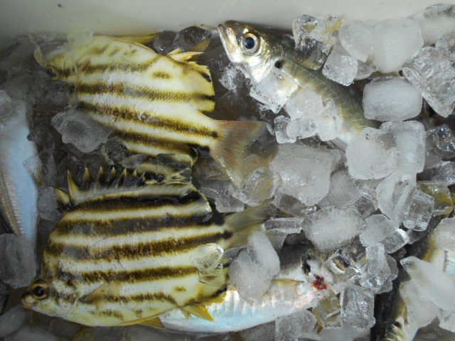 dscn0560