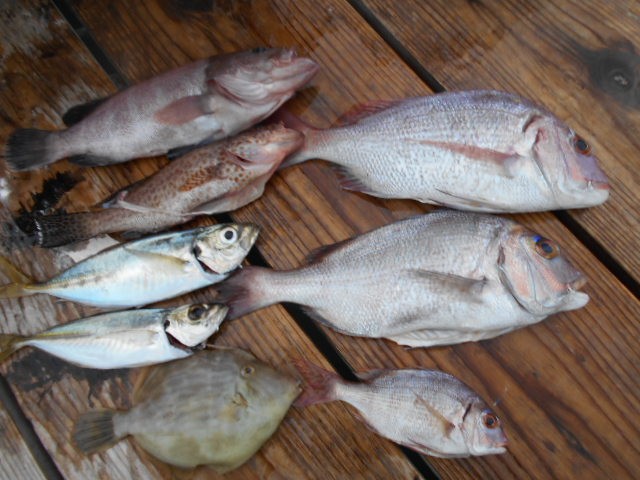 dscn0570