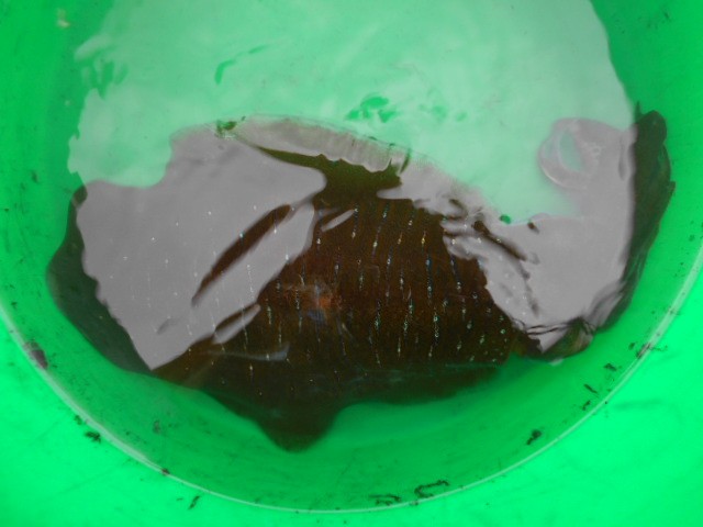 dscn0593