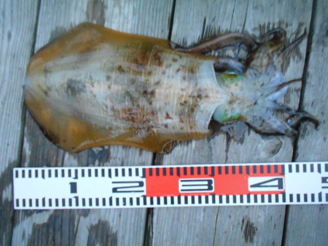 dscn0599