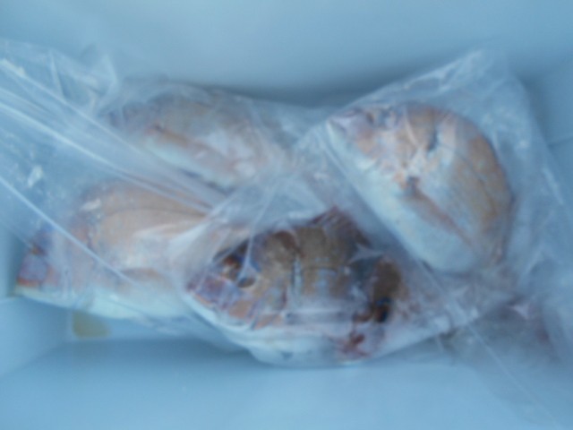 dscn0626