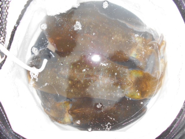 dscn0630