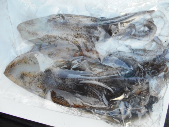 dscn0635