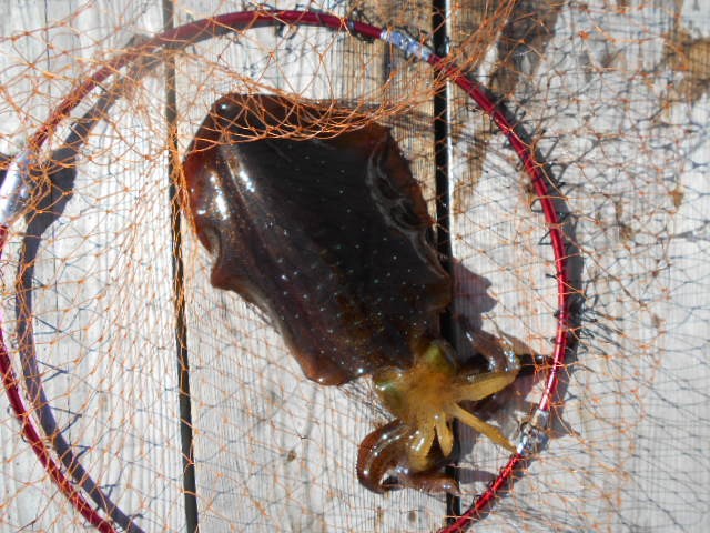 DSCN0656